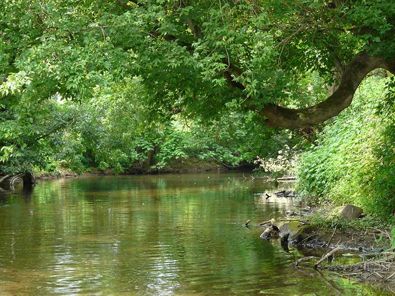 brandywine