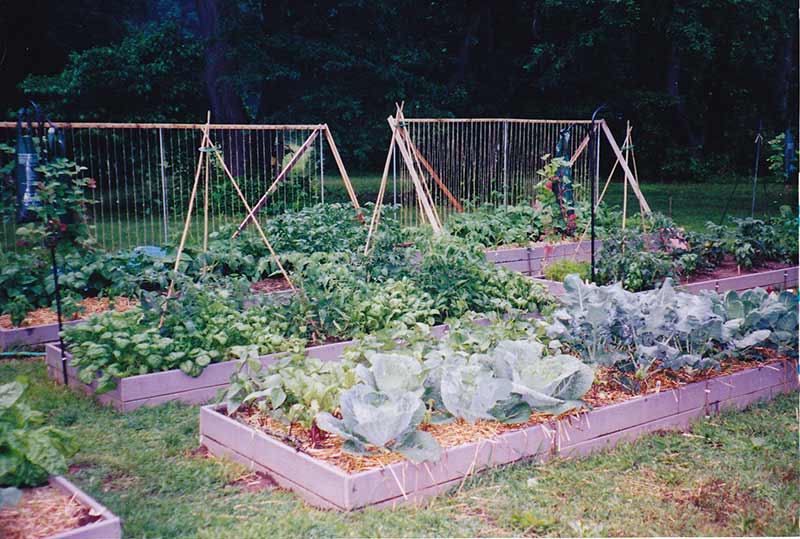 garden