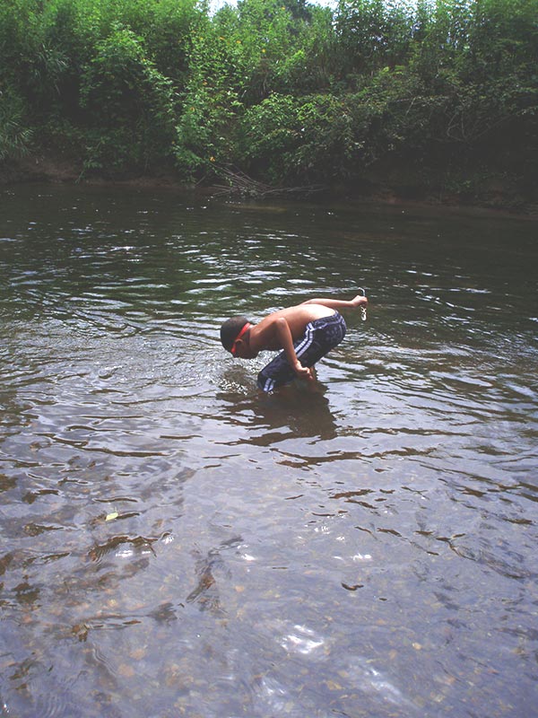 Looking in Water