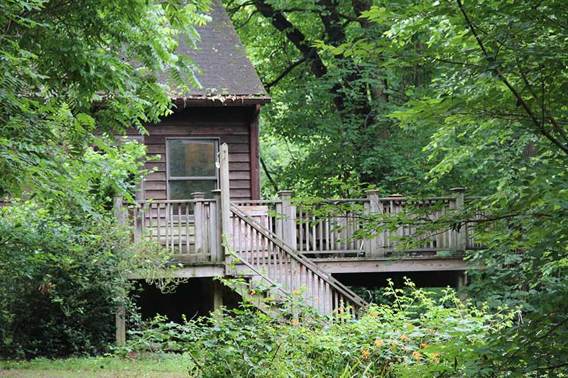 main cabin