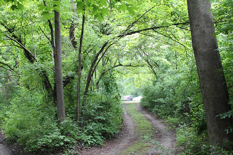 path