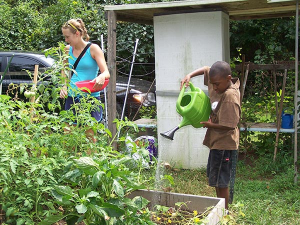 Watering