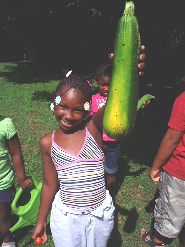 Zucchini Joy